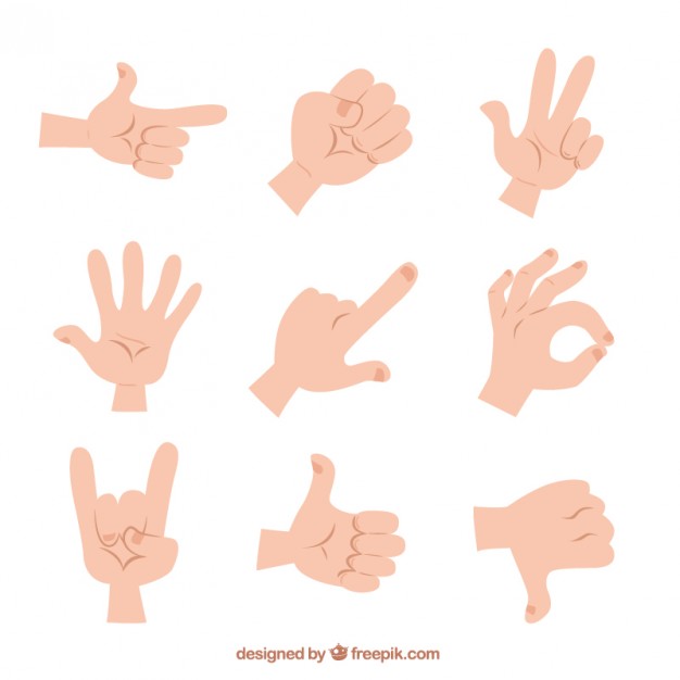 626x626 Illustrated Hand Gestures Vector Free Download
