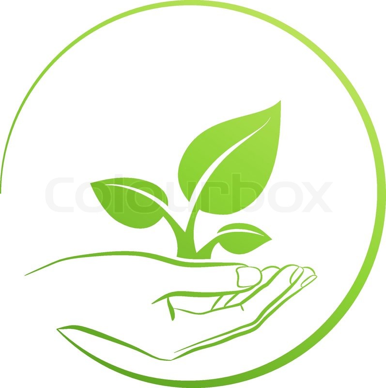 Hand Holding Plant, Logo Growth Stock Vector Colourbox 797x800 Hand Holding Plant, Logo Growth Stock Vector Colourbox