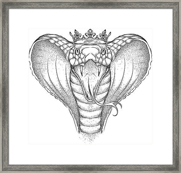 600x574 Hand Draw King Cobra In The Crown Vector Illustration Framed