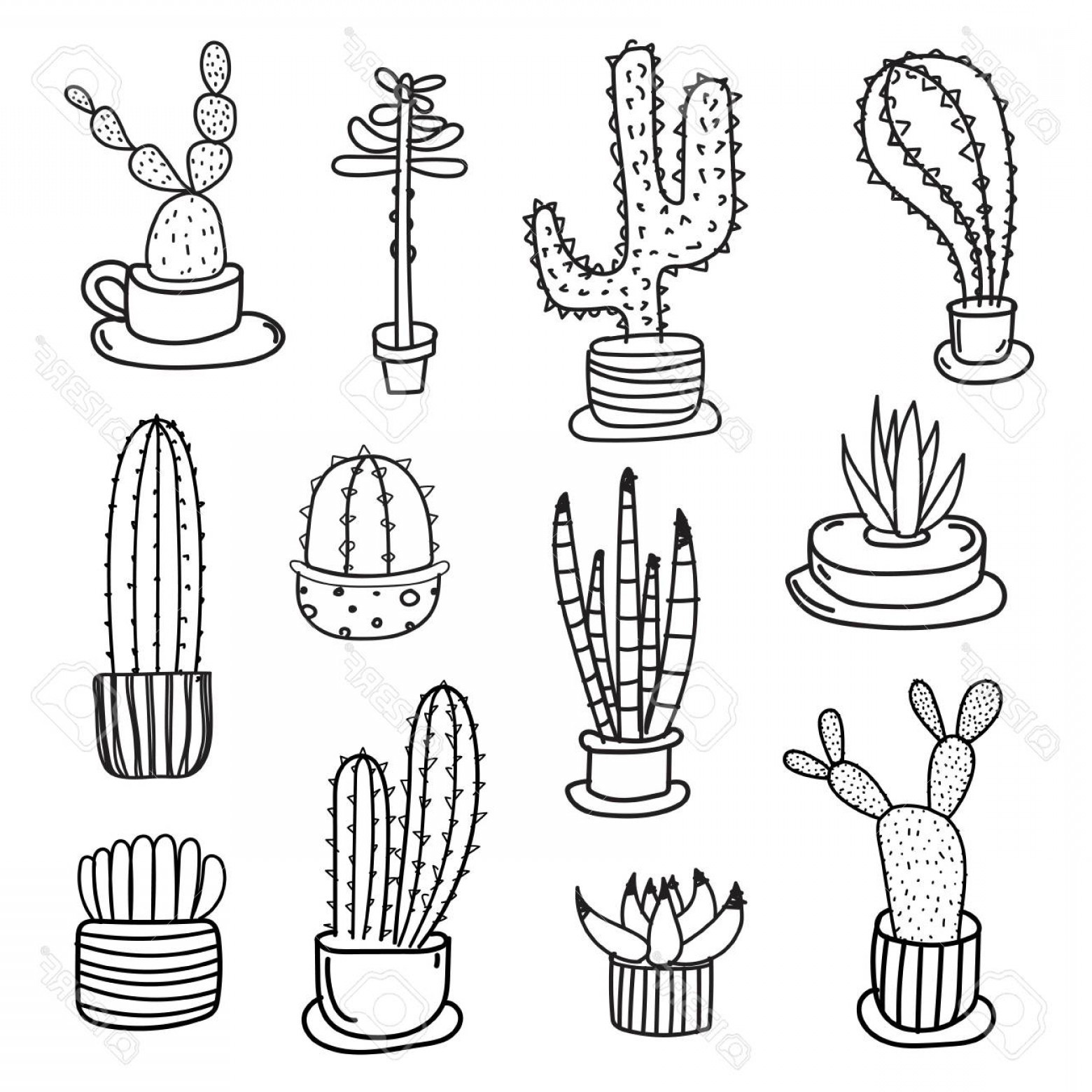 1560x1560 Photostock Vector Line Hand Drawn Doodle Cactus Vector Set