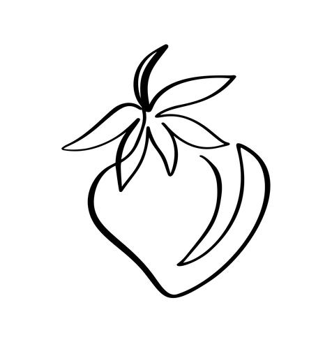 476x490 Strawberry Hand Drawn Outline Doodle Icon Vector Sketch Logo