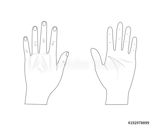 500x417 Woman Hands Back Of The Hand Palm Hand Outline Vector
