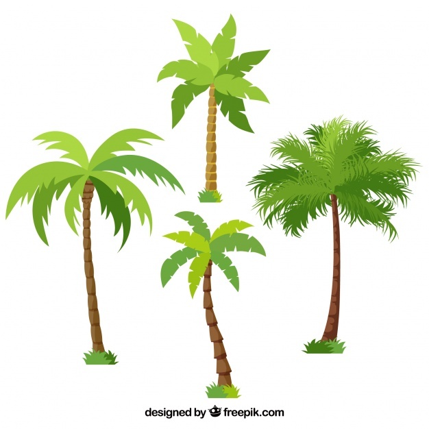 626x626 Hand Palm Vectors, Photos And Free Download