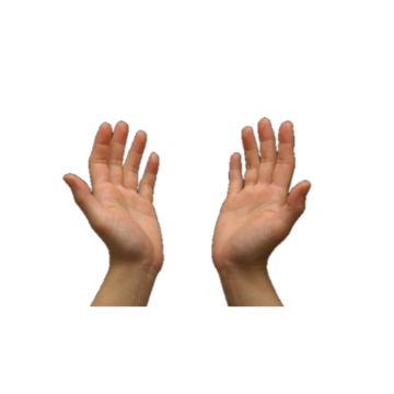 360x360 Two Hands Png, Vector, And Clipart With Transparent