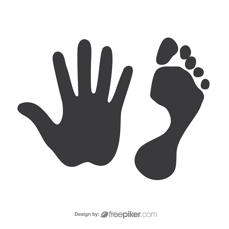 800x800 Freepiker Footprint Handprint Vector