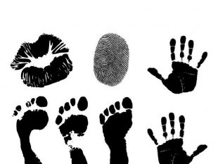 310x233 Lip Handprint Footprint Vector Free Vectors Ui Download