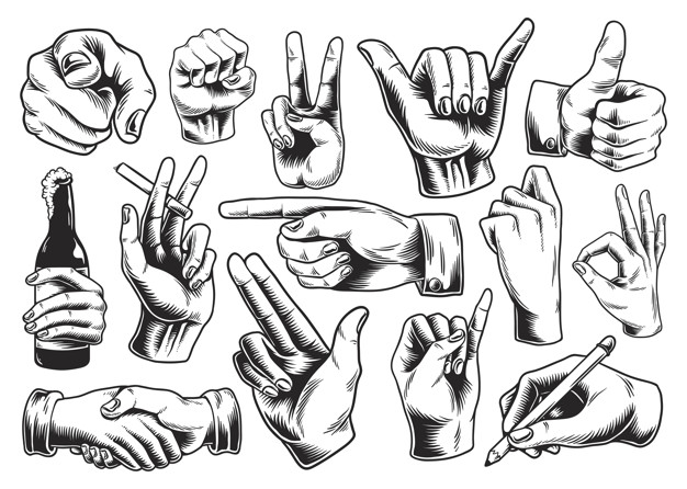 626x446 Collection Of Illustrated Hand Signs Vector Premium Download