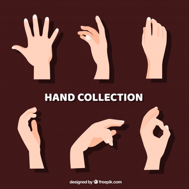626x626 Hands Vectors, Photos And Free Download