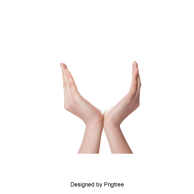 Hand Vector Png Clipart Images Gallery For Free Download Myreal 800x800 Hand Vector Png Clipart Images Gallery For Free Download Myreal