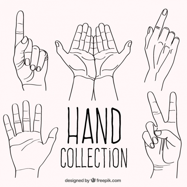 626x626 Set Of Hand Drawn Gestures With Hands Vector Free Download