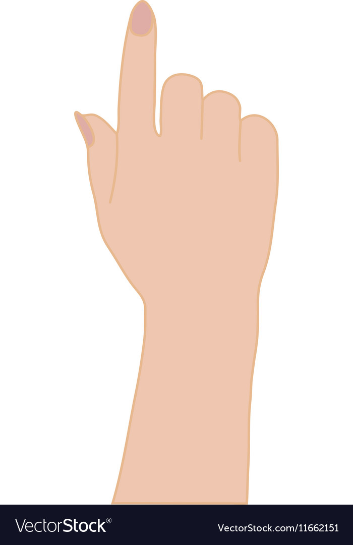 Hand Vector Png Images In Collection 700x1080 Hand Vector Png Images In Collection