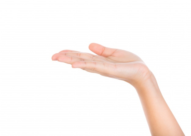 Hands Vectors, Photos And Free Download 626x446 Hands Vectors, Photos And Free Download