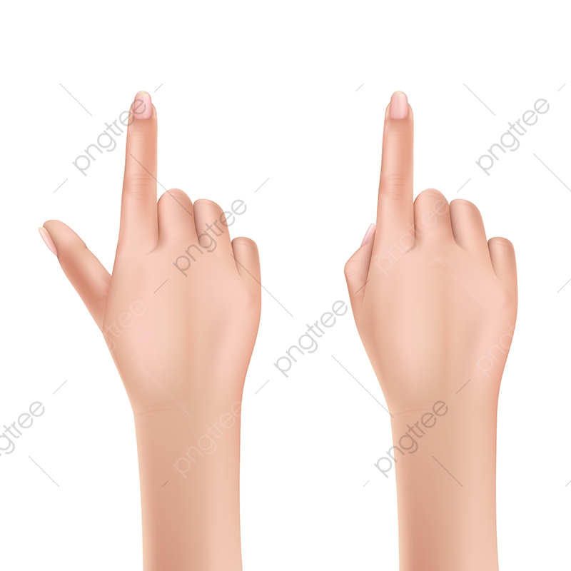 Womans Hand Pointing With Finger Realistic Vector, Woman, Hand 800x800 Womans Hand Pointing With Finger Realistic Vector, Woman, Hand