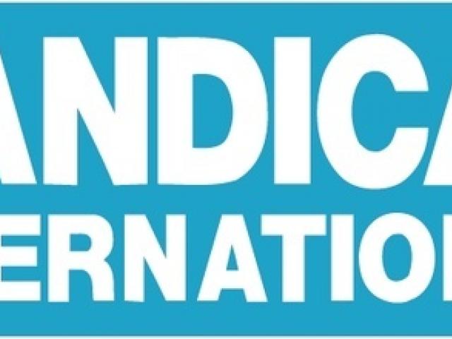 640x480 Handicap Logo Vector