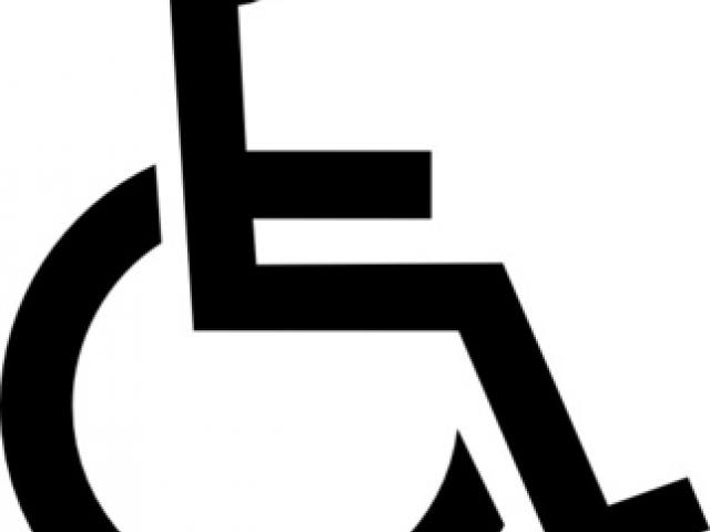 640x480 Dragons Vector