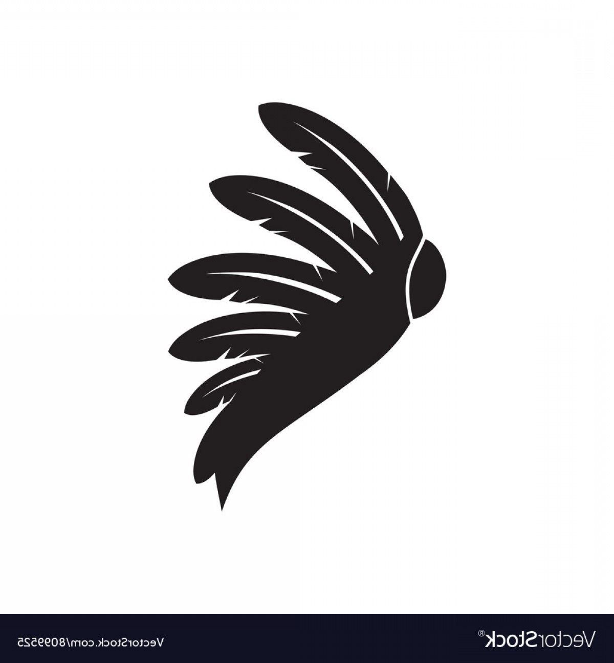 1200x1296 Native Feather Vector Cqrecords