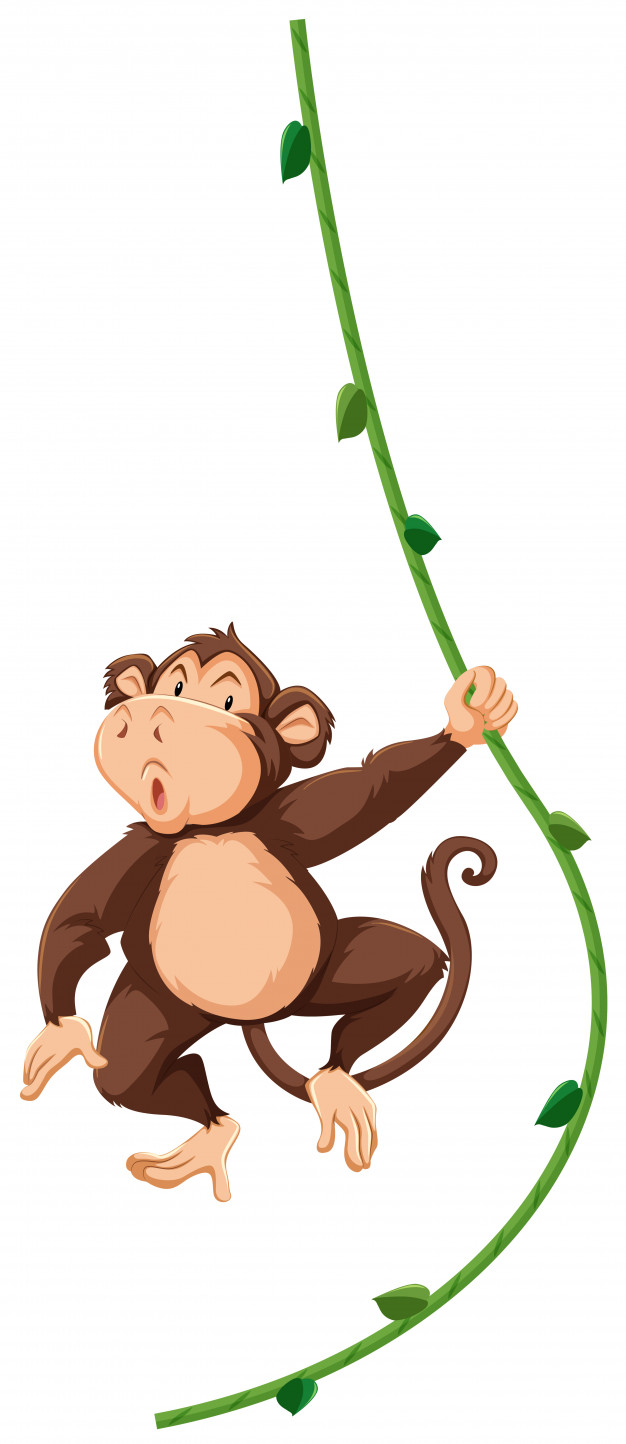 Hanging Monkey Vector
