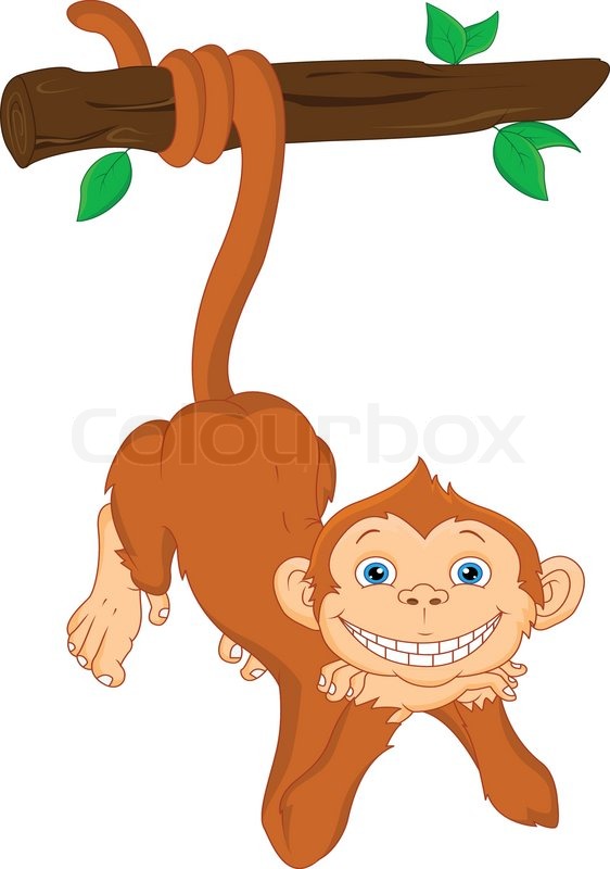 562x800 Cute Monkey Hanging Stock Vector Colourbox