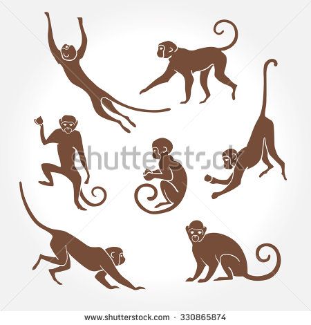 450x470 Sitting, Jumping, Running, Hanging, Walking, Standing Fun Monkey