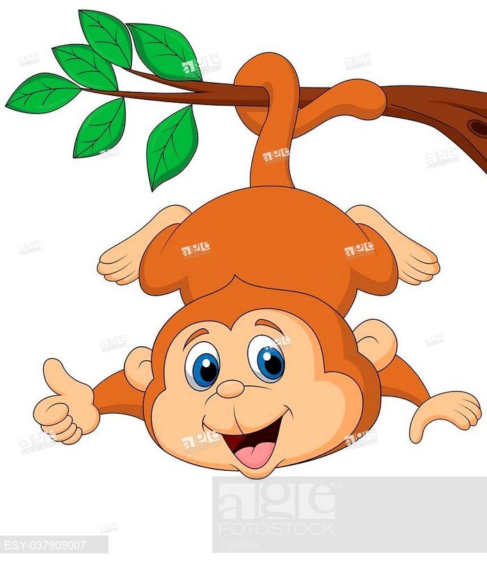 700x811 Vector Illustration Of Cute Monkey Cartoon Hanging On A Tree
