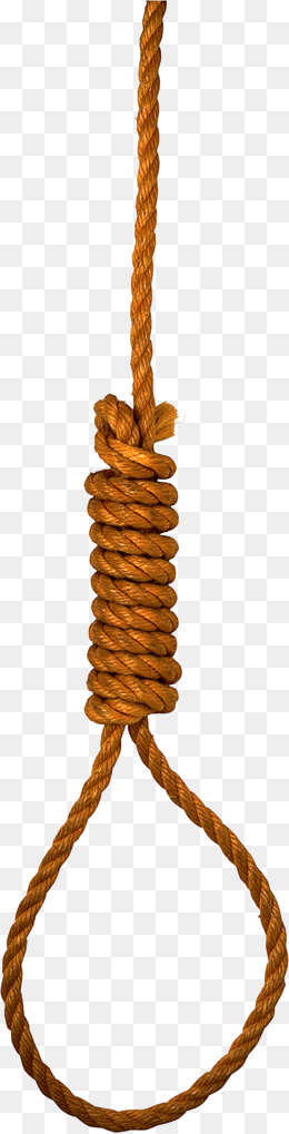 260x1019 Tree With Hanging Rope Png Free Tree With Hanging Rope