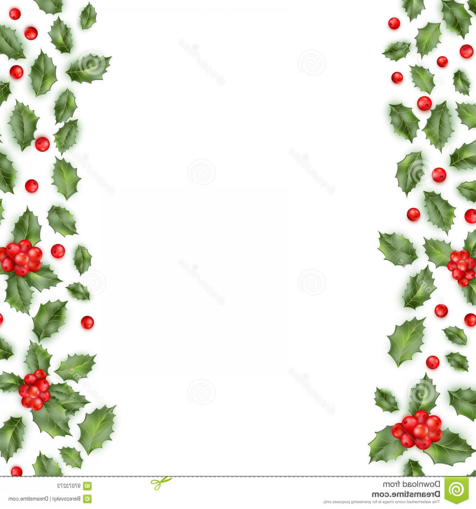 1560x1668 Stock Photo Christmas Holly Branch Border Vector Berry