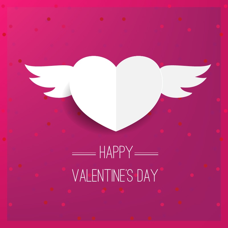 800x800 Happy Valentine's Day Vector Illustration
