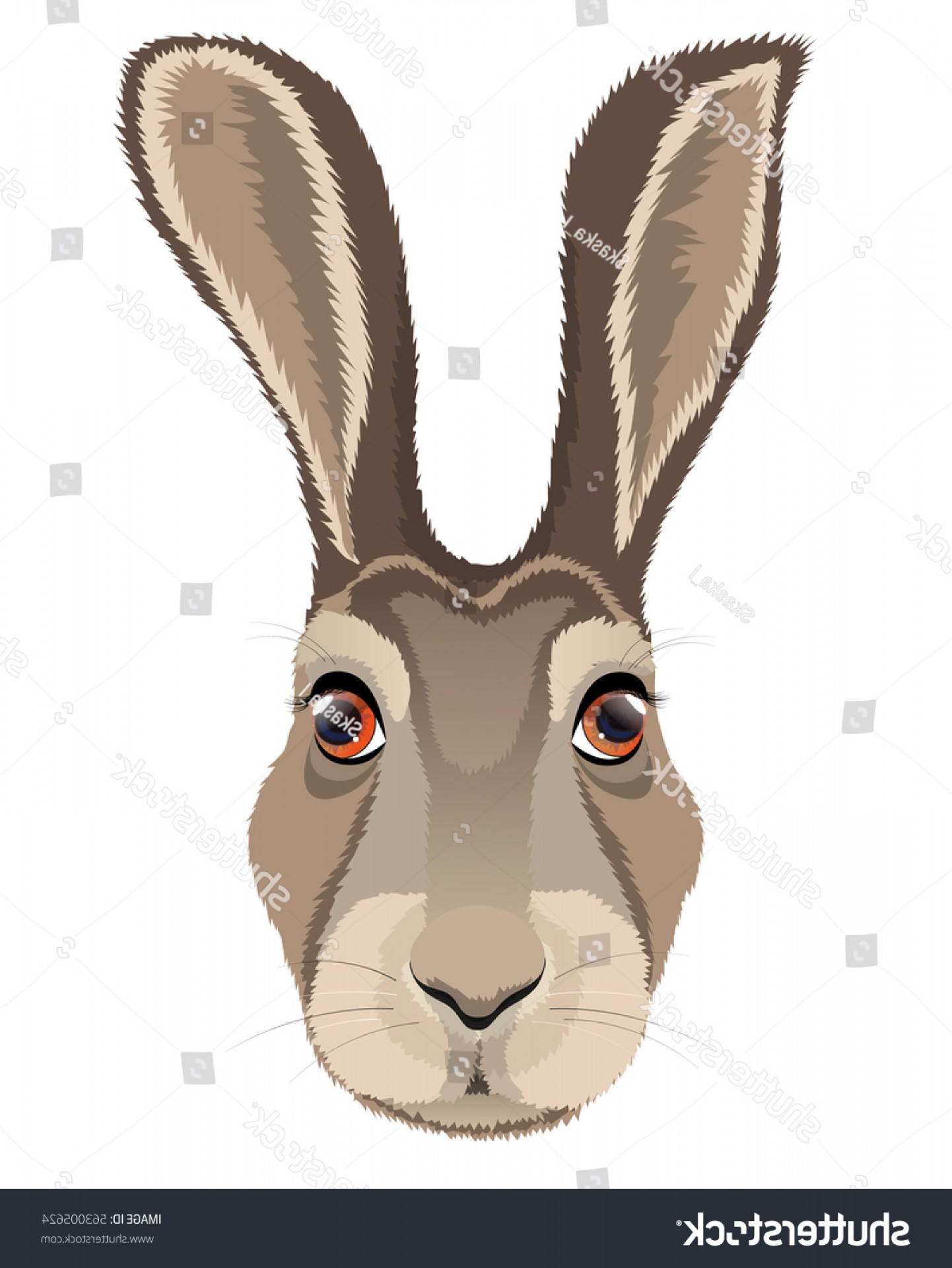 1442x1920 Head Hare Logo Emblem Mascot Vector Hoodamathrun