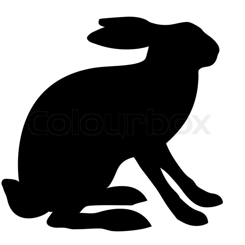 799x800 Illustration Hare Isolated On White Stock Vector Colourbox