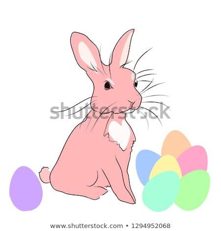 450x470 Pink Easter Bunny And Pastel Rainbow Eggs, Easter Decorations