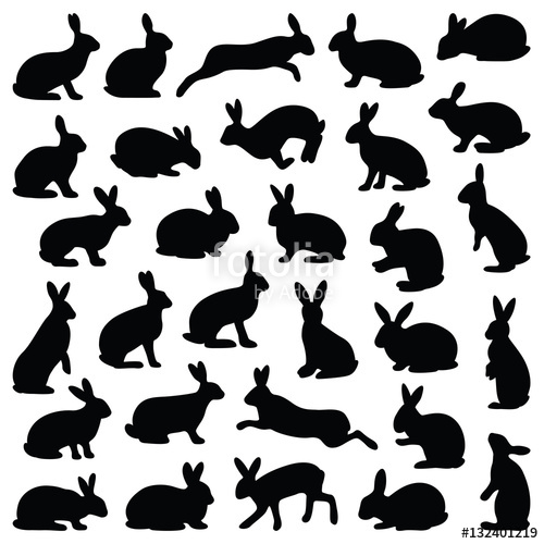 500x500 Rabbit And Hare Collection