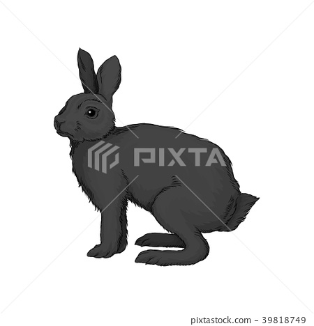 450x468 Cute Black Hare Wild Forest Animal Vector