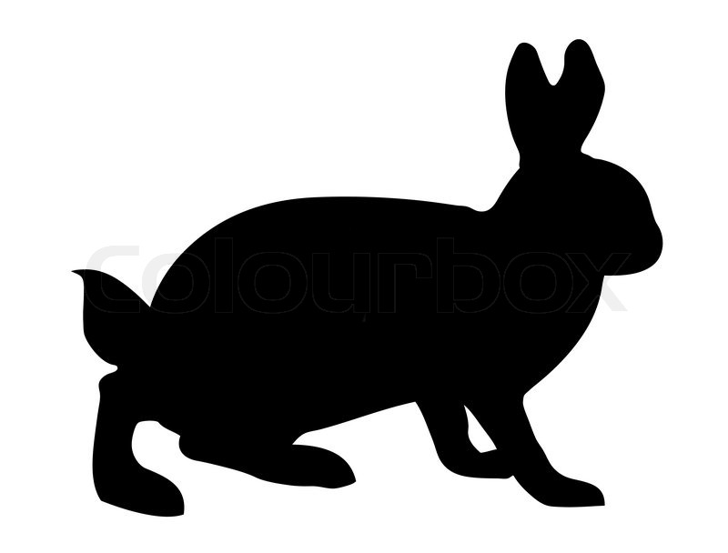 800x608 Vector Illustration Hare On White Stock Vector Colourbox