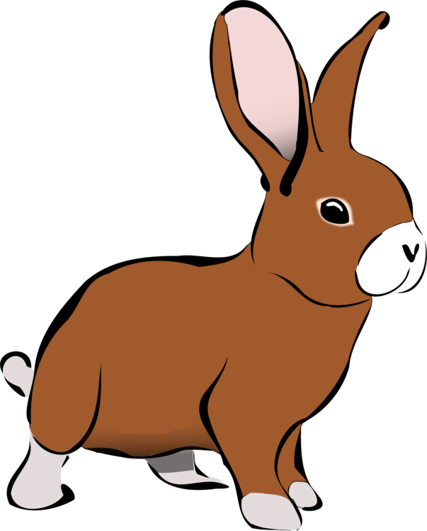 Hare Vector at Vectorified.com | Collection of Hare Vector free for ...