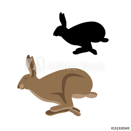 500x500 Hare Vector Illustration Style Flat Set
