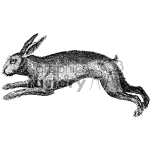 Free Free Vintage Bunny Svg 445 SVG PNG EPS DXF File