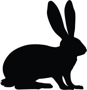 289x300 Hare Icon