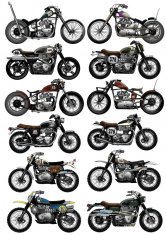 166x236 Harley Davidson Free Vector Download Free Vector Cdr