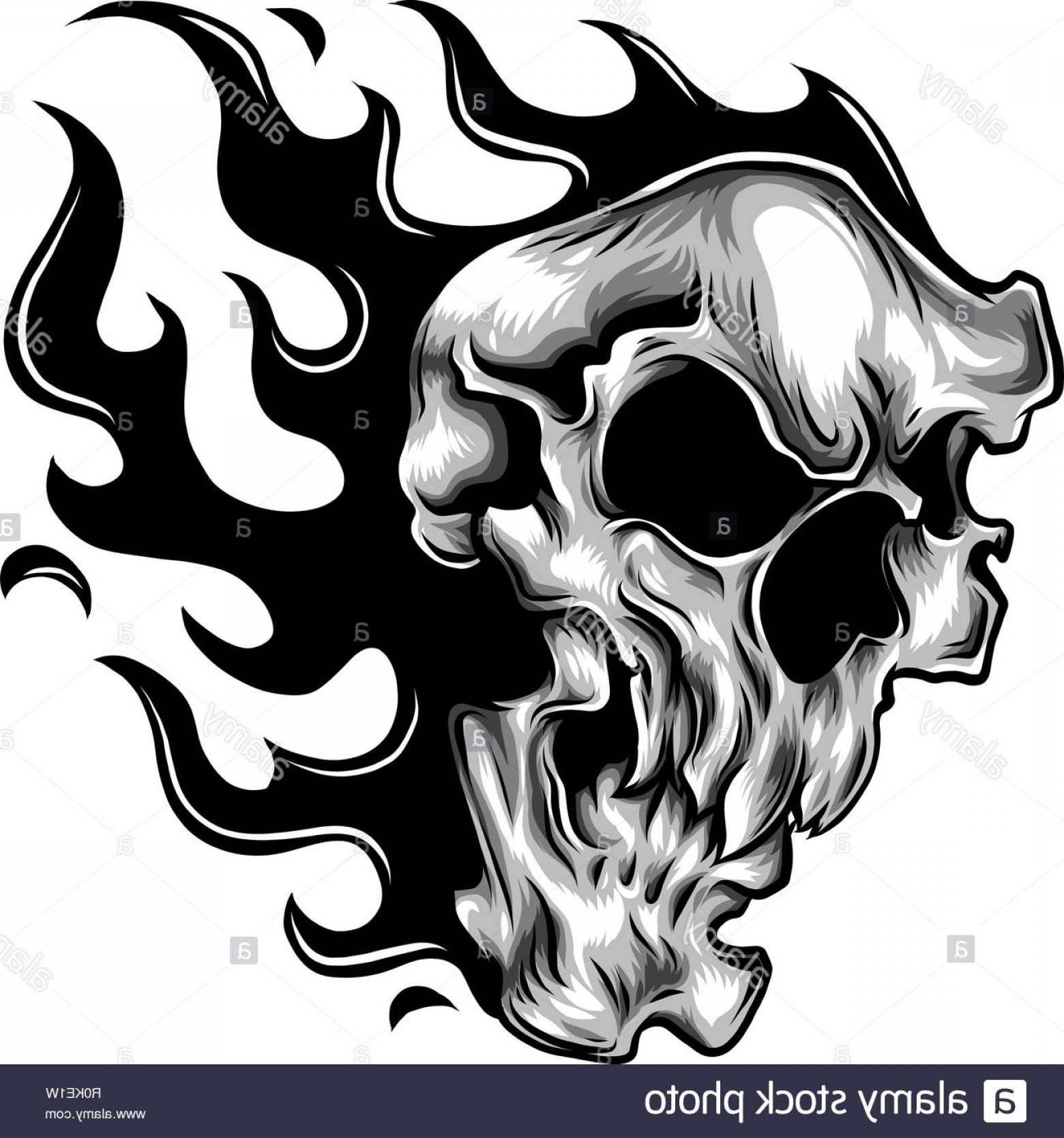 1560x1668 Harley Davidson Skull Logo Vector Createmepink