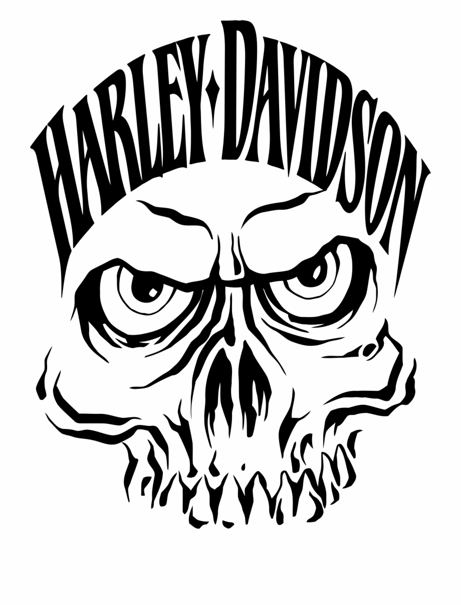 Harley Davidson Skull Logo Vector at Vectorified.com | Collection of ...