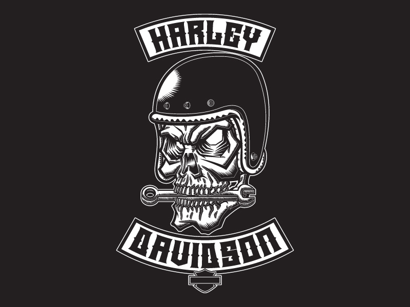 800x600 Harley Davidson Cafe Racer Skull