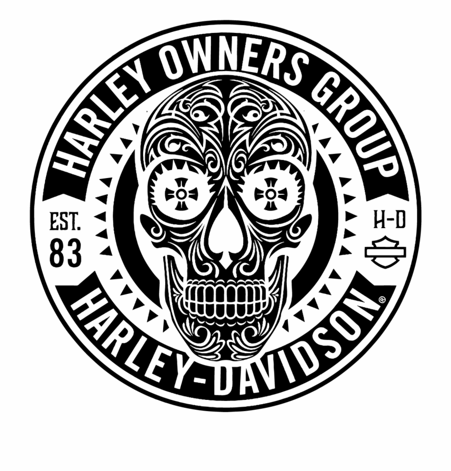 920x960 Harley Davidson Owners Group Skull Logo Vector Patch