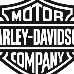 300x300 Harley Davidson Skull Best Of Harley Davidson Vector Logo Cliparts