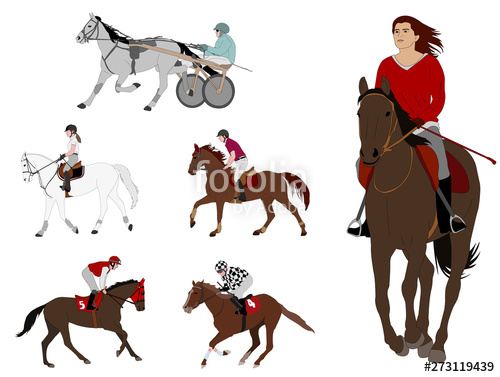 500x377 Equestrian Sports Harness Racing, Horse Racing,recreational