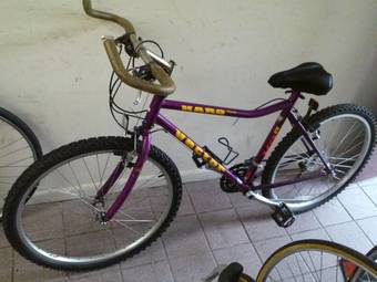 340x255 Beaverwall Cambridge, Massachusetts