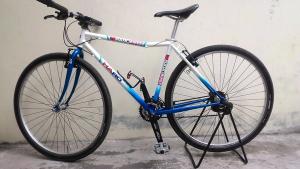 300x169 Mtb Langka, Haro Vector