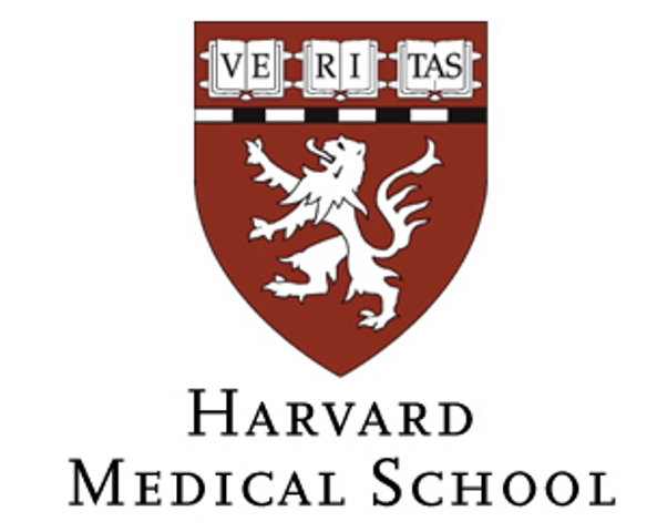 593x480 Harvard University Medical School