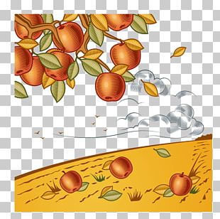310x308 Harvest Vector Png Images, Harvest Vector Clipart Free Download