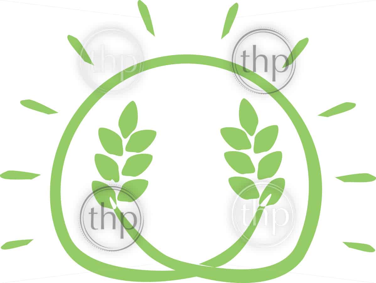 1198x903 Simple Harvest Vector Icon In The Shape Of The Sun With Wheat