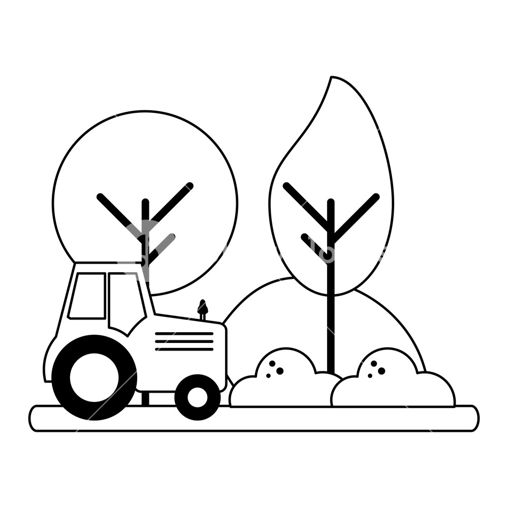 1000x1000 Farm Tractor Riding In Harvest Vector Illustration Graphic Design